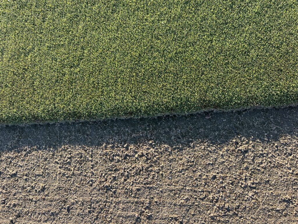 Creeping Bentgrass - Newsod