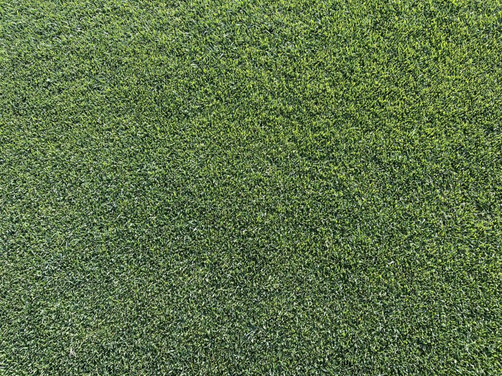 cesped natural garden-green Cesped natural Garden-green