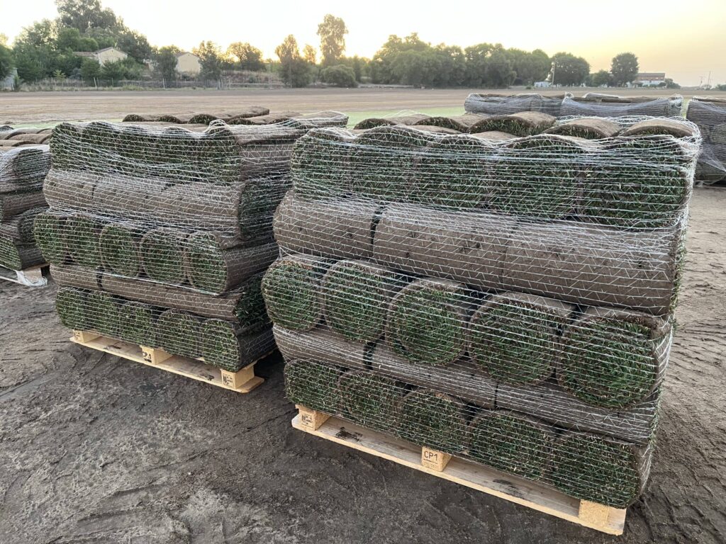 Palets rollos de Césped Natural - Newsod