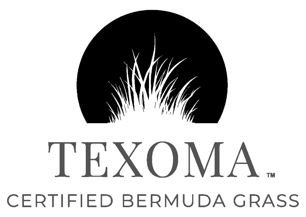 Logo Bermuda Híbrida Texoma - Newsod