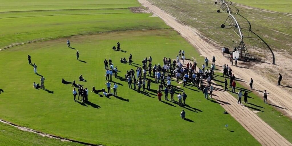 Vista de dron durante la ETP en la variedad de bermuda híbrida Texoma en la finca La Bazagona - Newsod